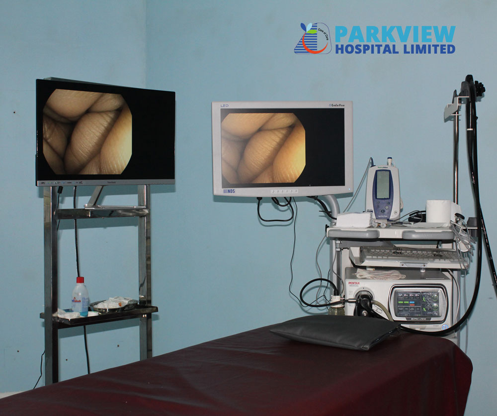 ABOUT ENDOSCOPY IN BRIEF