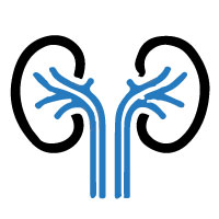 Nephrology