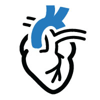 Cardiology