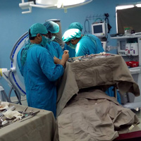 Laparoscopic Surgery