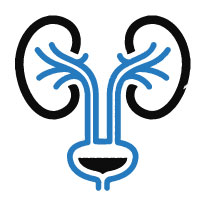 Urology