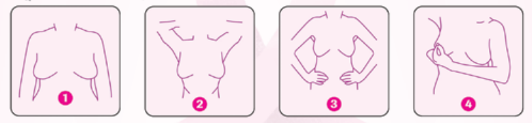 breast screening check